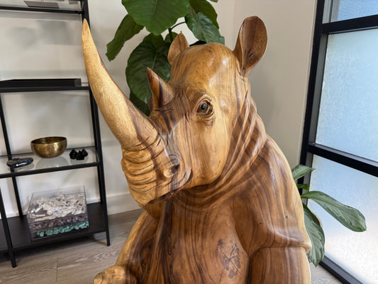 Meet our Rhino